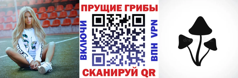 Псилоцибиновые грибы MAGIC MUSHROOMS  ОМГ ОМГ ссылка  Ардон 